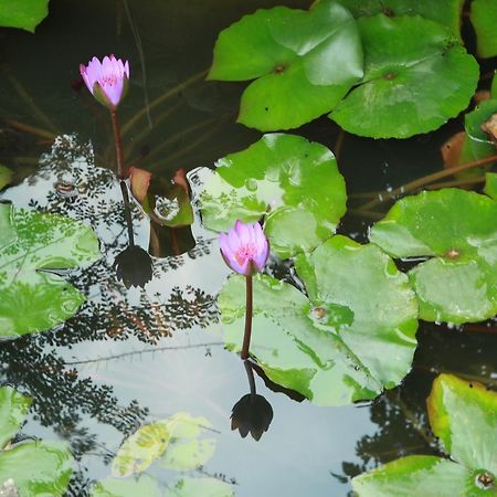 Готель Khach San Linh Huong Son La Екстер'єр фото